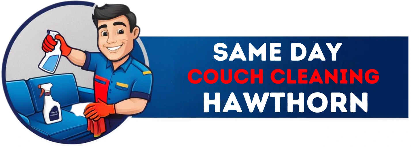 Same Day Couch Cleaning Hawthorn website logo